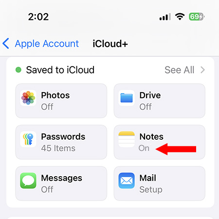 Copy iPhone Notes to iCloud.